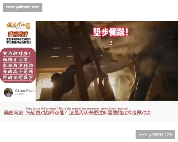 少林功夫对决泰拳传统武学与现代搏击的巅峰碰撞解析全面观察实战